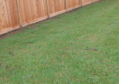 Fence Services